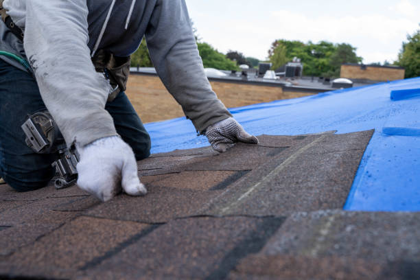 Best Metal Roofing Contractor  in Marshville, NC